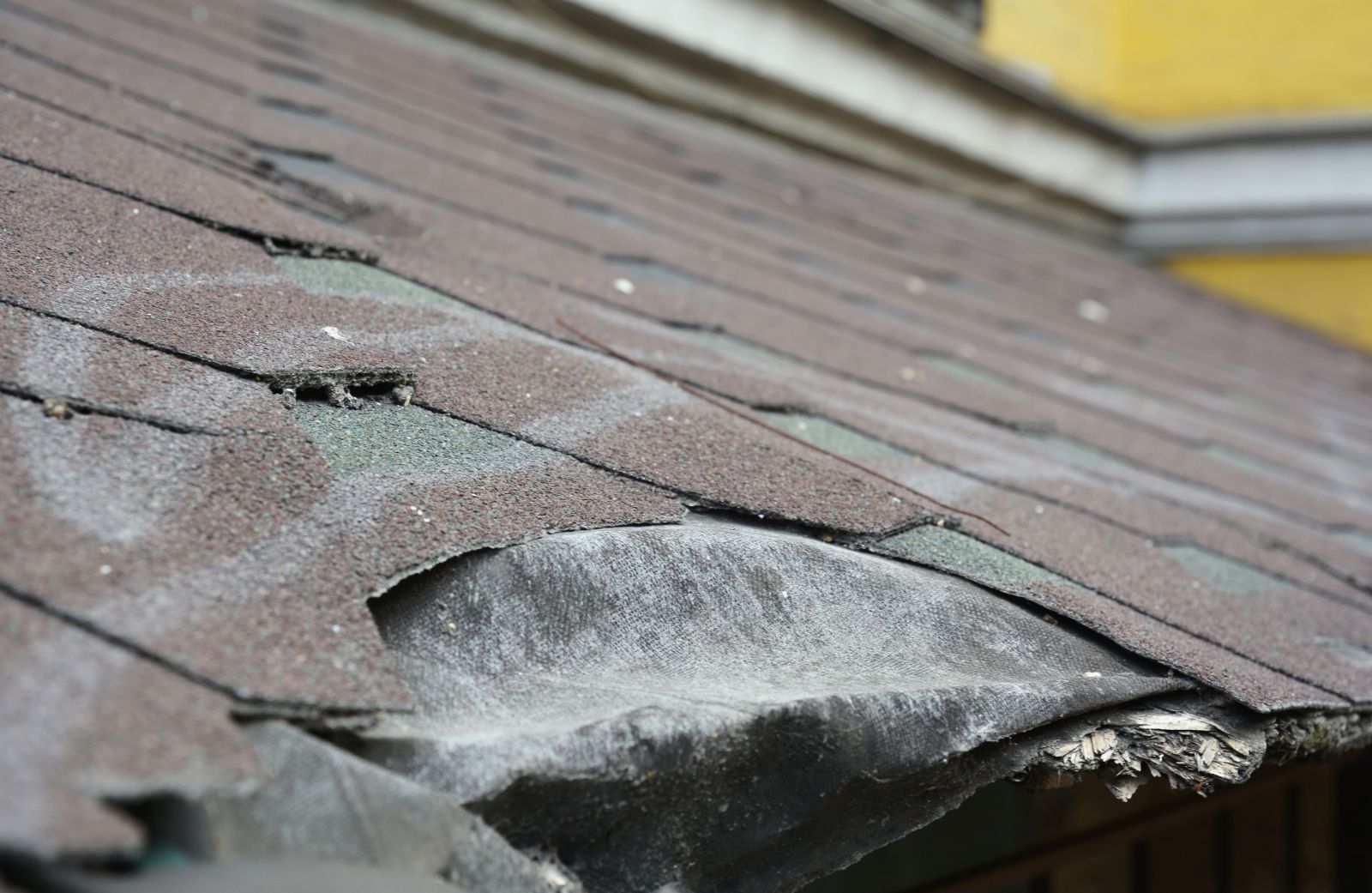 Perfection Roofing Company Images