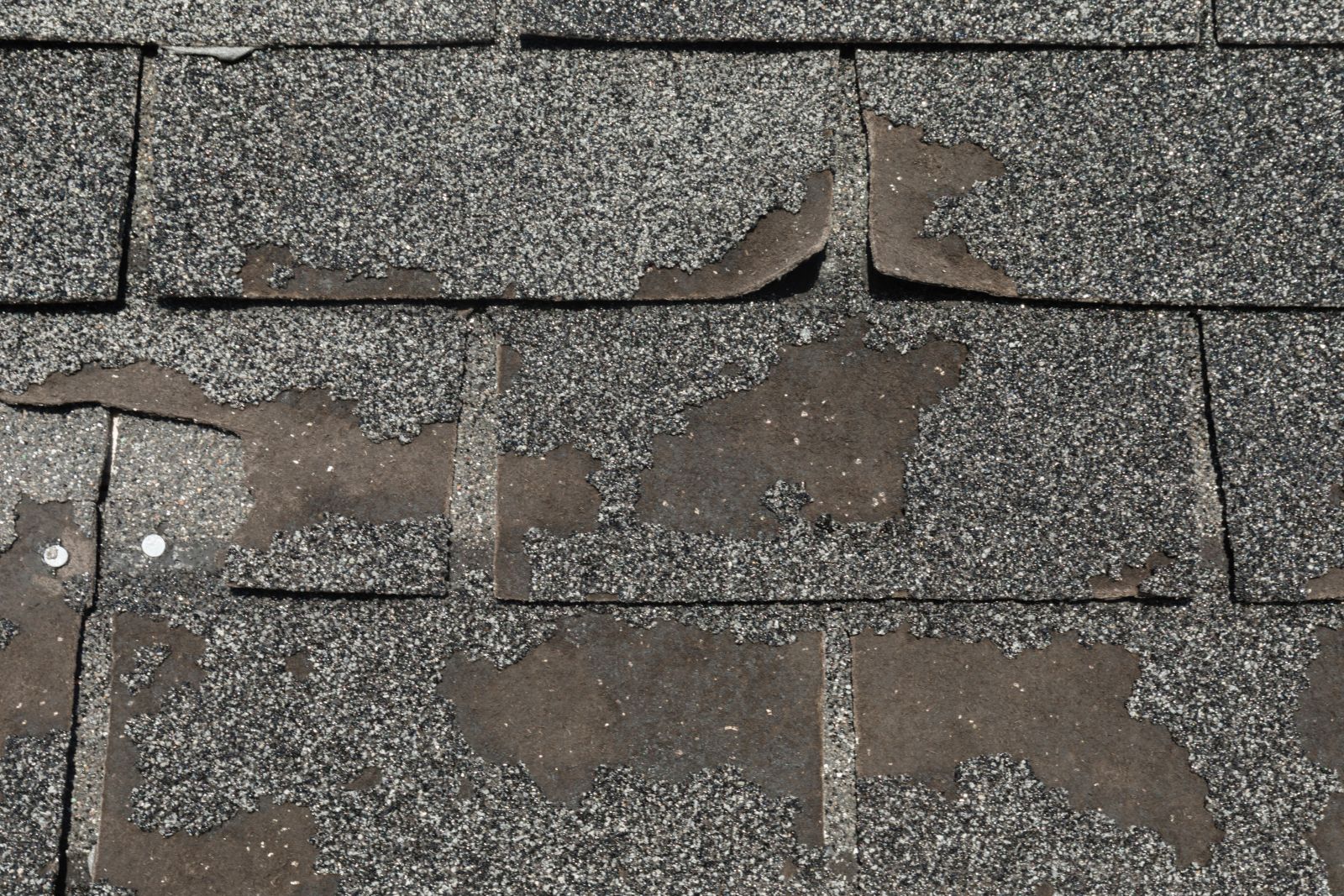 Perfection Roofing Company Images